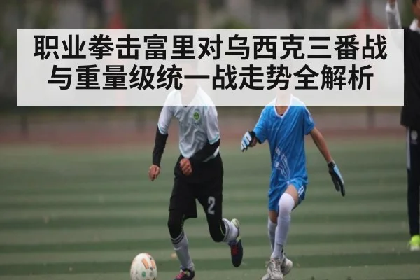 职业拳击富里对乌西克三番战与重量级统一战走势全解析